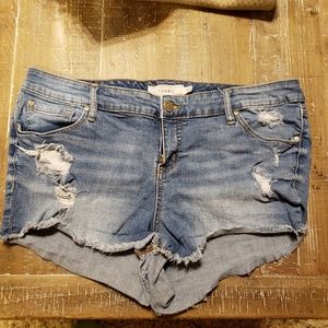 Torrid distressed denim shorts